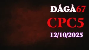 Clip gà chọi trực tiếp C5 full HD ngày 12/10/2025