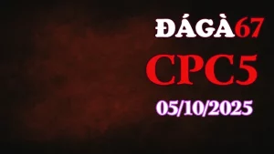 Clip gà chọi trực tiếp C5 full HD ngày 05/10/2025