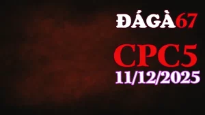 Video đá gà trực tiếp CPC5 hôm nay 11122025 phát lại siêu nét