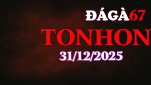 Xem Video Giải Đá Gà Tonhon 31122025 Không Bỏ Lỡ Trận Nào