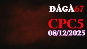 Xem trực tiếp đá gà CPC5 hôm nay 08122025 không lag