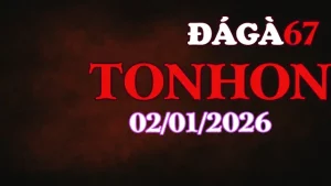 Clip Trực Tiếp Đá Gà Tonhon Ngày 02012026 Hấp Dẫn