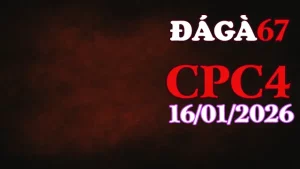 Tổng hợp trực tiếp đá gà CPC4 hôm nay 16012025 phát lại