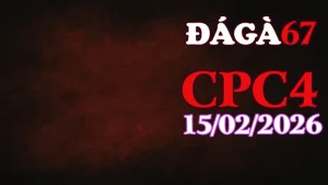 Xem Video Trực Tiếp Đá Gà CPC4 15022026 Không Giật Lag