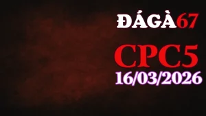 Tổng hợp clip đá gà trực tiếp CPC5 ngày hôm nay 16032026