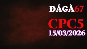 Tổng hợp video đá gà trực tiếp CPC5 hôm nay ngày 15032026 mới nhất