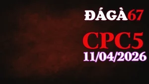 Video đá gà trực tiếp Thomo CPC5 ngày 11042026